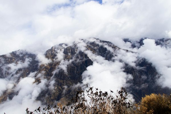 Trouvez la croisière en solo idéale : conseils pour sélectionner la compagnie parfaite !